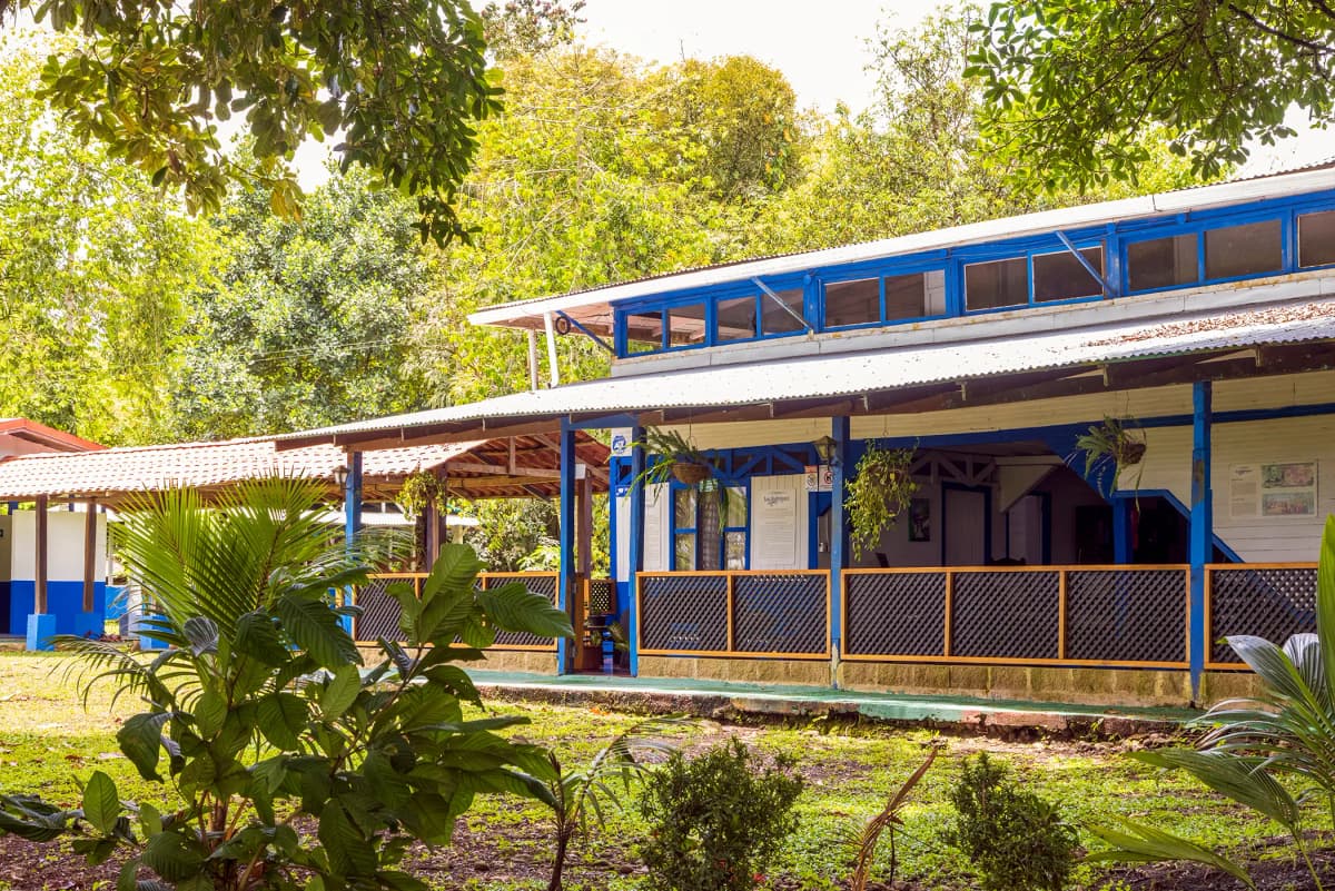 Fachada colonial azul de la casona vista desde los árboles