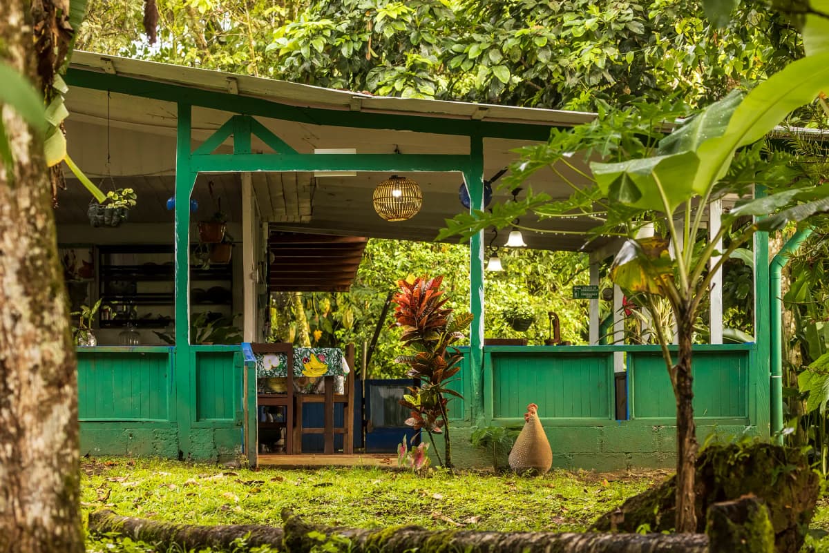 Estructura rústica tradicional verde rodeada de jardines y vegetación tropical